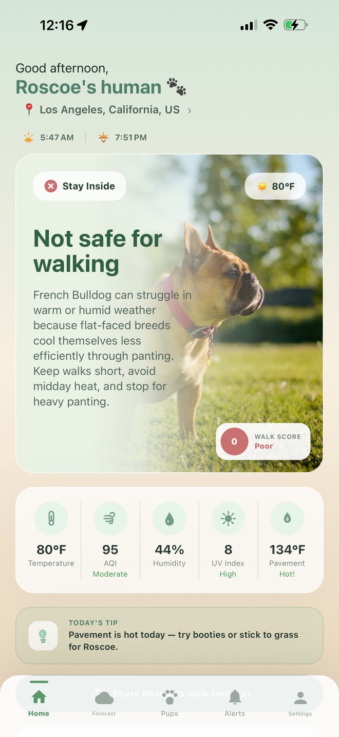 Pawcast home screen showing today's walk score