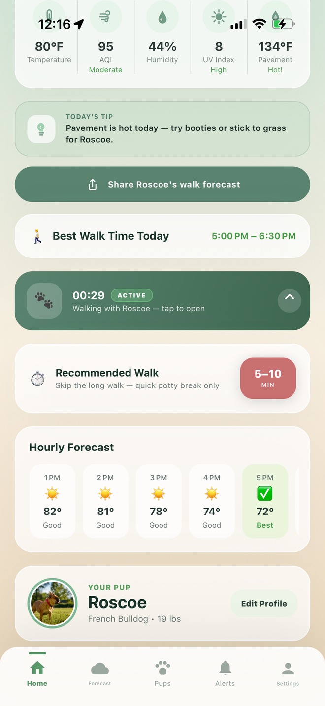 Pawcast home screen lower half showing today's tip, share button, active walk card, and recommended walk duration