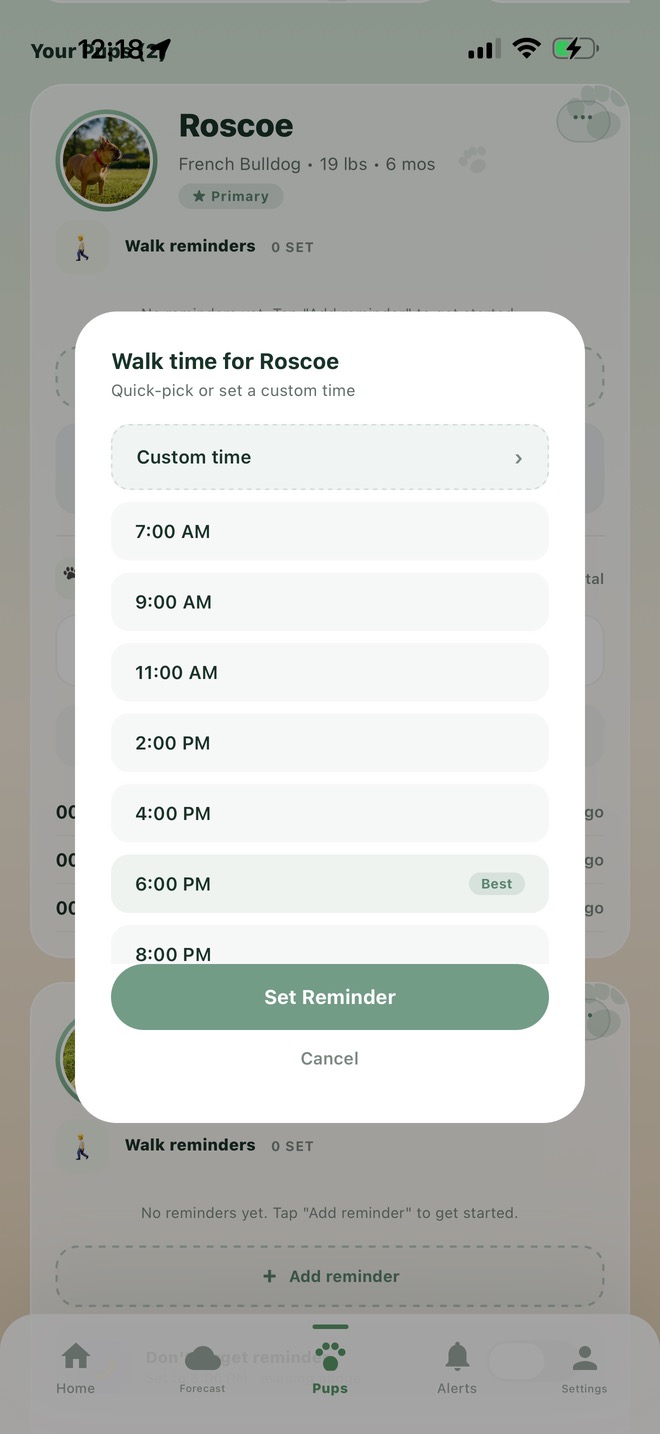 Pawcast smart reminders and notification settings